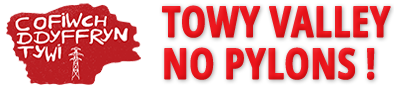 No Pylons in the Towy Valley logo